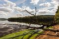 Morvan, lac de Saint Agnan